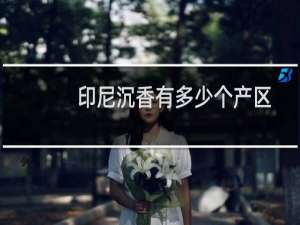 印尼沉香有多少个产区