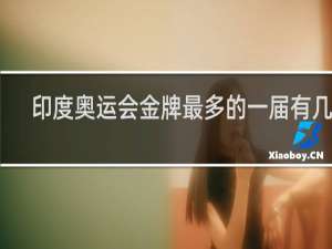 印度奥运会金牌最多的一届有几块