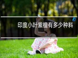印度小叶紫檀有多少种料