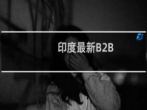 印度最新B2B