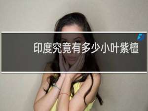 印度究竟有多少小叶紫檀