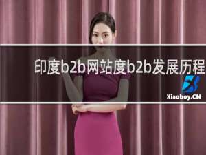 印度b2b网站度b2b发展历程