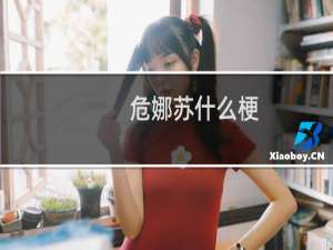 危娜苏什么梗