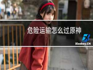 危险运输怎么过原神