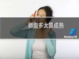 卵泡多大算成熟（卵泡多大算成熟）
