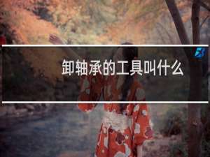 卸轴承的工具叫什么