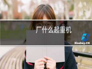 厂什么起重机