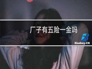 厂子有五险一金吗