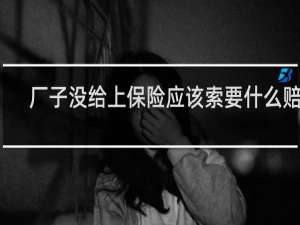 厂子没给上保险应该索要什么赔偿