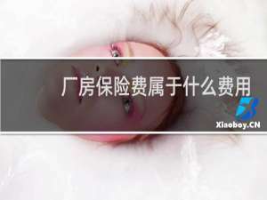 厂房保险费属于什么费用