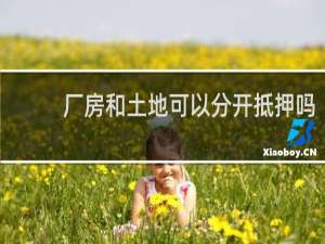 厂房和土地可以分开抵押吗