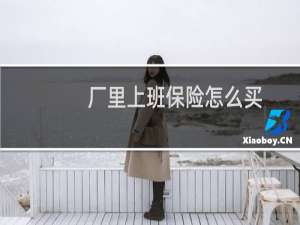 厂里上班保险怎么买