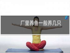 厂里养鱼一般养几只