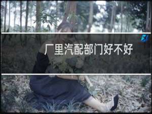 厂里汽配部门好不好