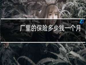 厂里的保险多少钱一个月