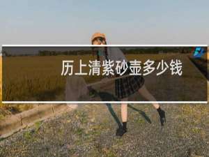 历上清紫砂壶多少钱