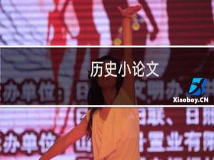 历史小论文