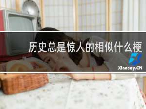 历史总是惊人的相似什么梗