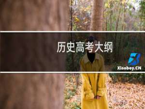 历史高考大纲