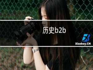 历史b2b
