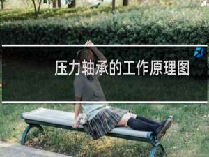 压力轴承的工作原理图