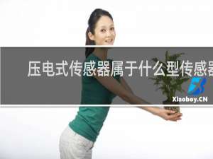 压电式传感器属于什么型传感器