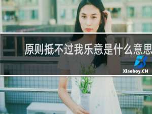原则抵不过我乐意是什么意思