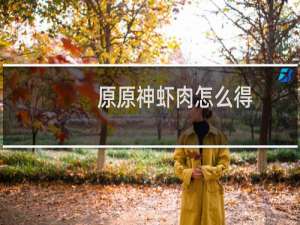 原原神虾肉怎么得