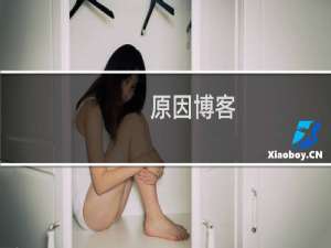 原因博客