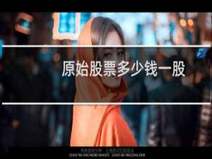 原始股票多少钱一股