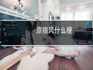 原宿风什么梗