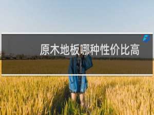 原木地板哪种性价比高