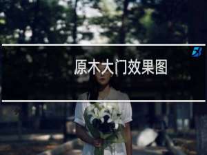 原木大门效果图