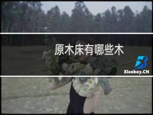 原木床有哪些木