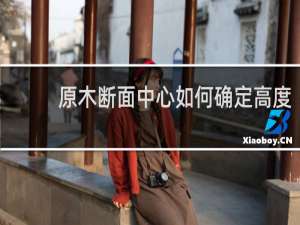 原木断面中心如何确定高度