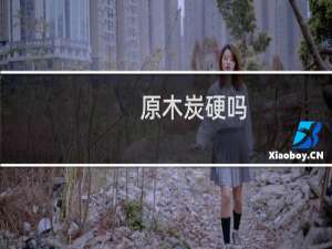 原木炭硬吗