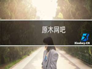 原木网吧