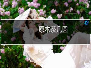 原木茶几圆