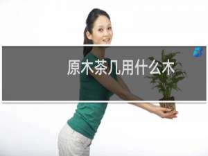 原木茶几用什么木