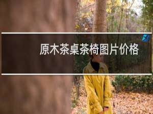 原木茶桌茶椅图片价格