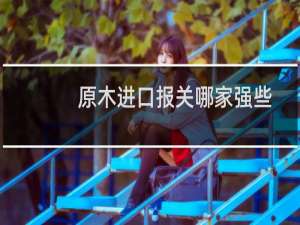 原木进口报关哪家强些