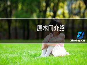 原木门介绍