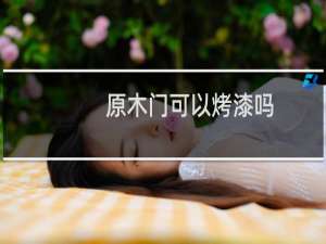 原木门可以烤漆吗