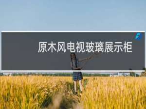 原木风电视玻璃展示柜