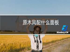 原木风配什么面板
