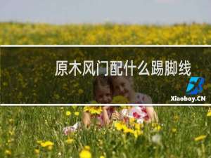 原木风门配什么踢脚线