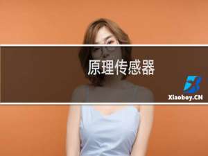 原理传感器