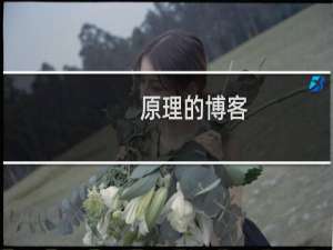 原理的博客