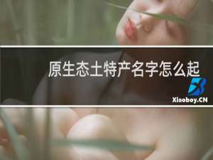 原生态土特产名字怎么起