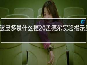 原皮比皱皮多是什么梗 孟德尔实验揭示原粥律什么梗